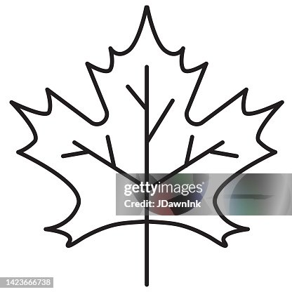 Maple leaf thin line Icon on white background - editable stroke Maple leaf thin line Icon on white background - editable stroke