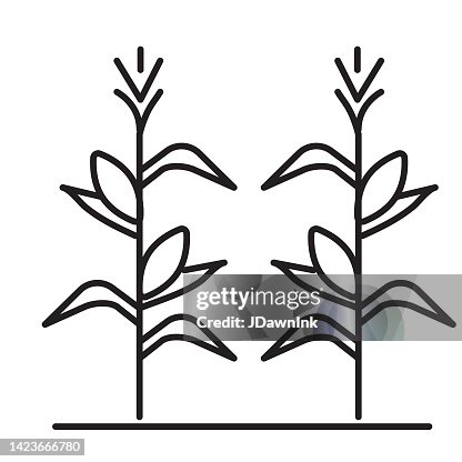 Cornstalks thin line Icon on white background - editable stroke Cornstalks thin line Icon on white background - editable stroke