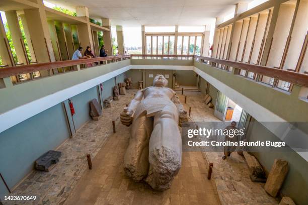 the colossus of rameses ii, memphis, egypt - egypt archaeology stock pictures, royalty-free photos & images