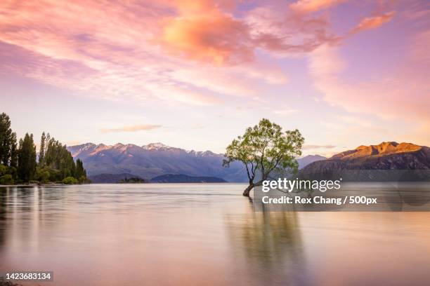 scenic view of lake against sky during sunset,roys bay,new zealand - 山 stock-fotos und bilder