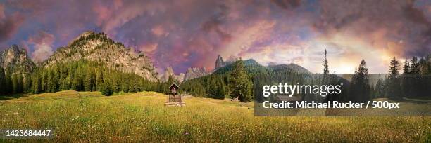 panoramic view of trees on field against sky,val ciamin,tires,bolzano,italy - alpen berghütte bildbanksfoton och bilder