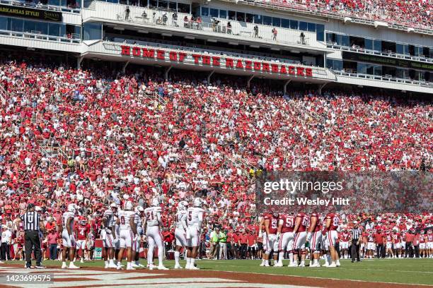 Fans of the Arkansas Razorbacks cheer on the team before a game against the South Carolina Gamecocks at Donald W. Reynolds Razorback Stadium on...