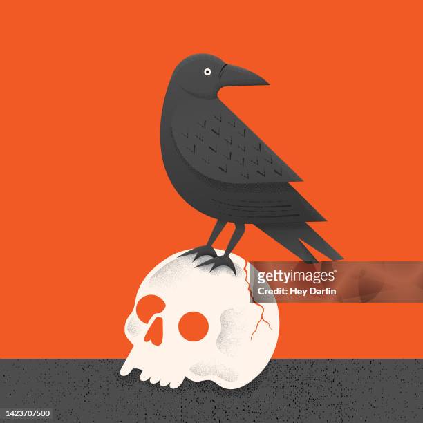 ilustraciones, imágenes clip art, dibujos animados e iconos de stock de cráneo de cuervo vintage - raven