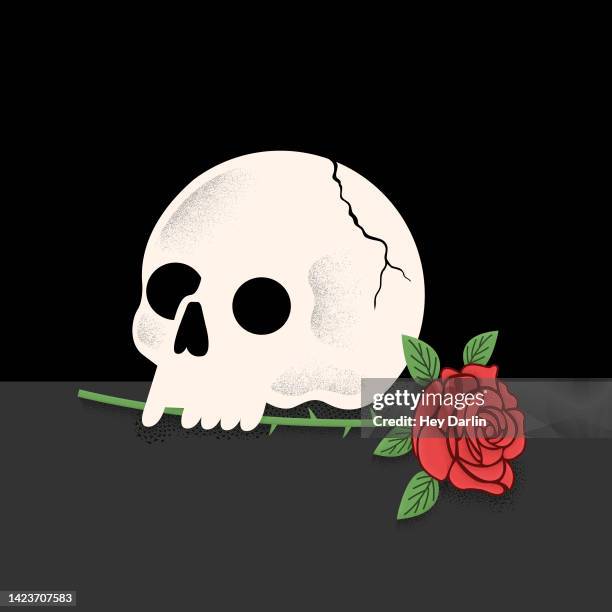 skull with rose in its mouth - love & death stock illustrations