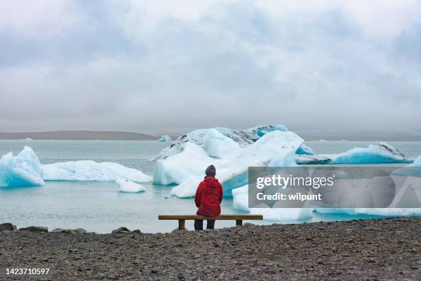 sentado olhando para jökulsárlón islândia - laguna jokulsarlon - fotografias e filmes do acervo