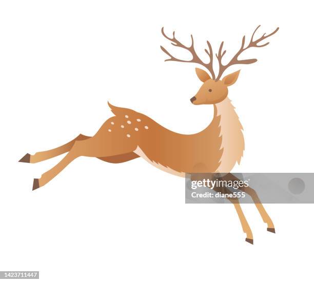 1,378 Deer Cartoon Photos and Premium High Res Pictures - Getty Images 1,378 Deer Cartoon Photos and Premium High Res Pictures - Getty Images