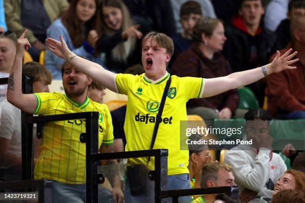 Norwich City fans are seen during the Sky Bet Championship match between Norwich City and Bristol City at Carrow Road on September 14, 2022 in...
