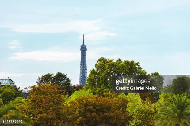 jardin du luxembourg in paris - french garden stock pictures, royalty-free photos & images