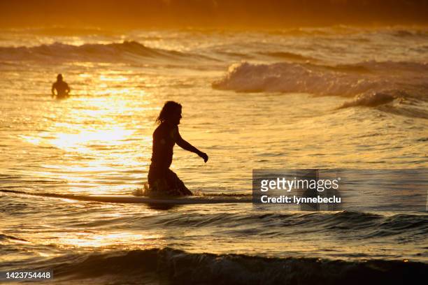 male surfer at sunset - goud strand stockfoto's en -beelden