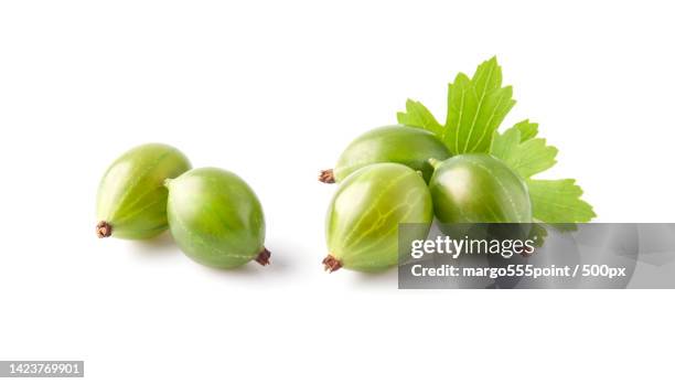 close-up of green grapes over white background - gooseberries stock pictures, royalty-free photos & images