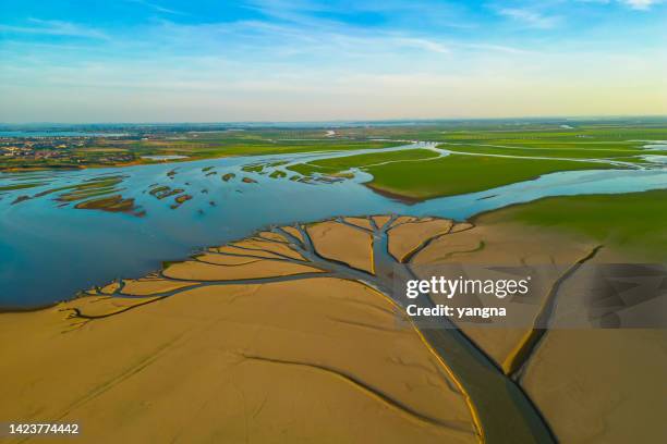 dürreszene im poyang-see, jiangxi, china - dürre stock-fotos und bilder