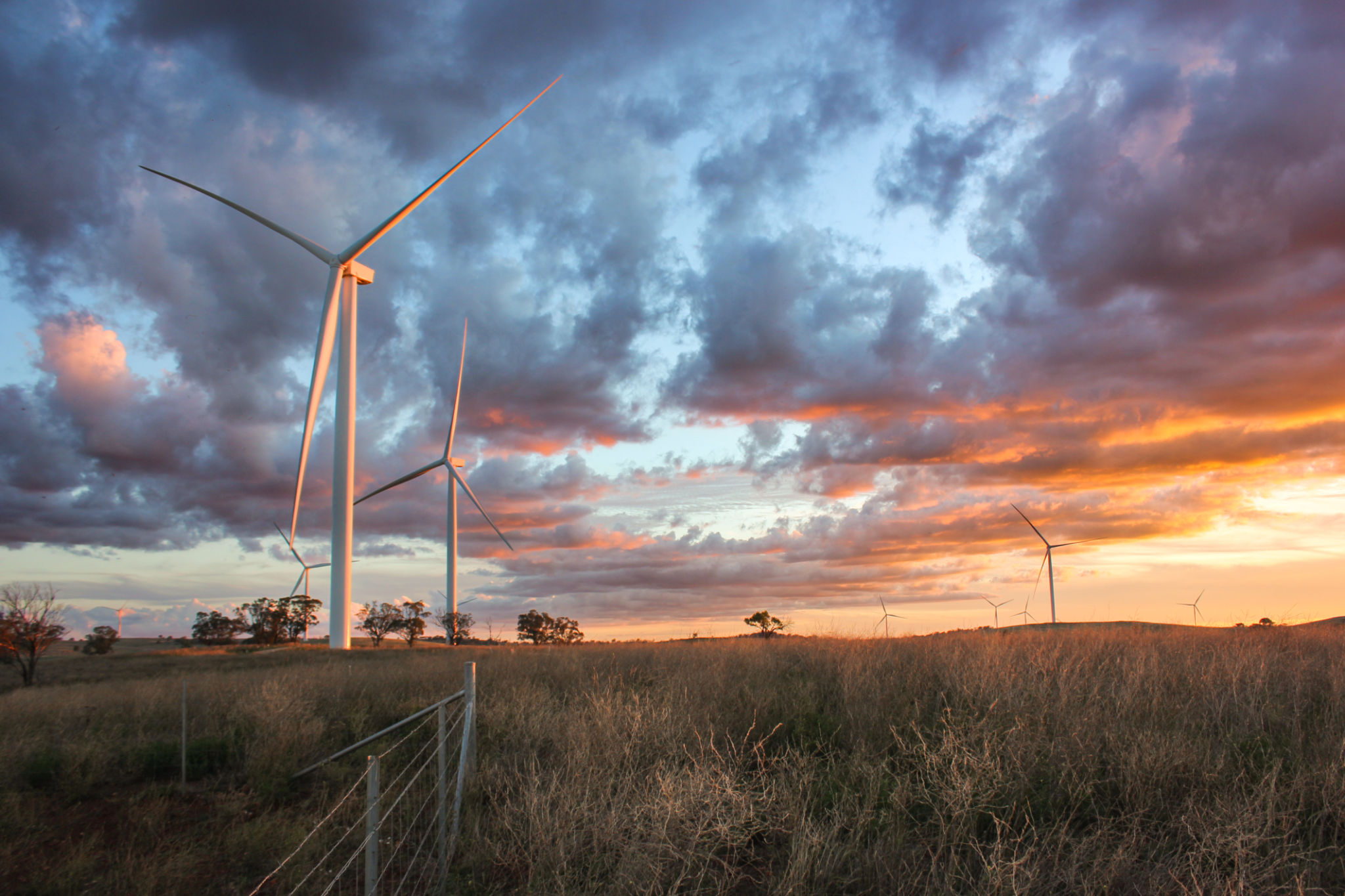 wind turbines australia