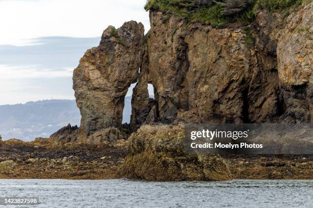 katchemak bay 004 - homer alaska stockfoto's en -beelden