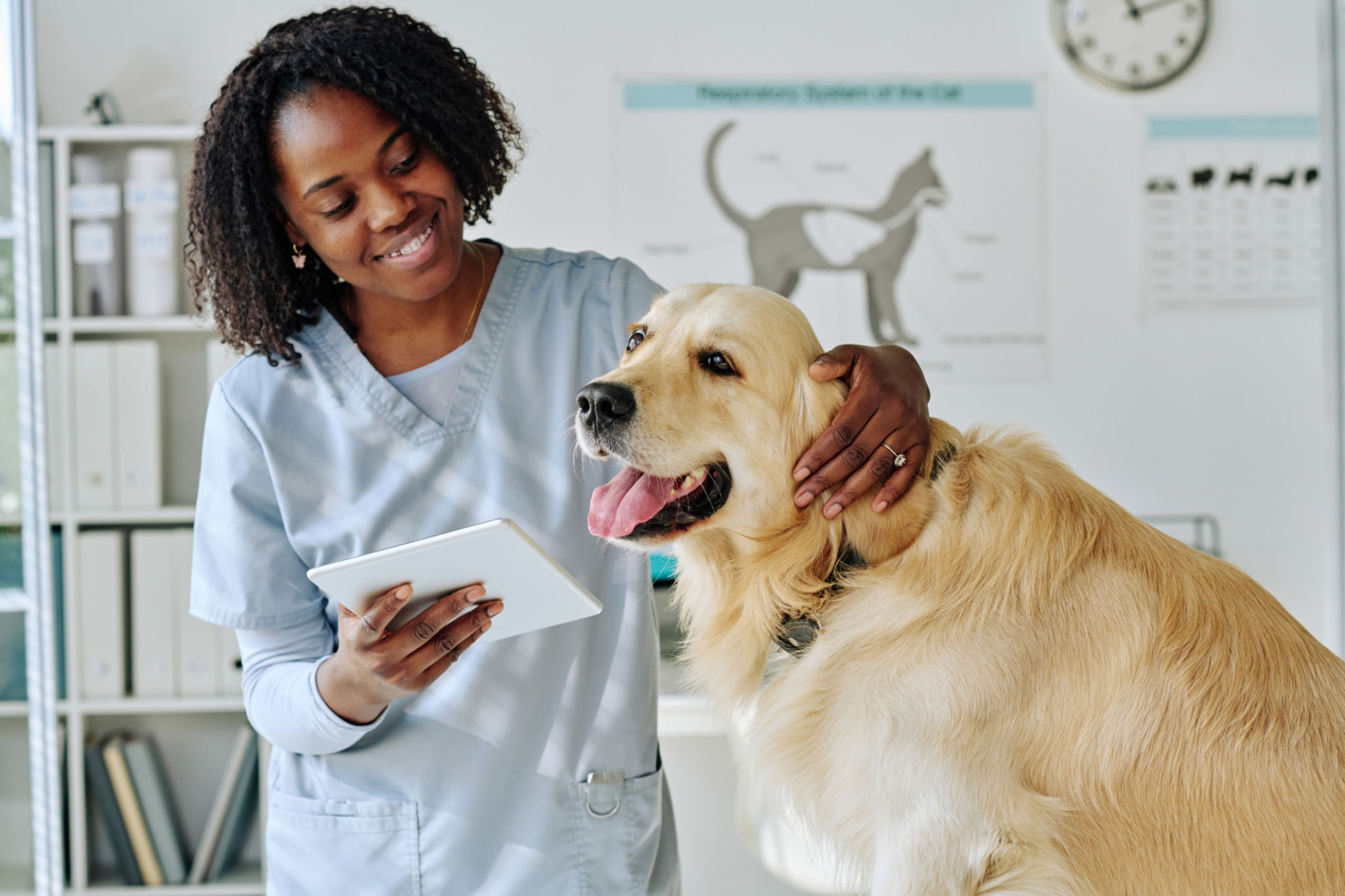 pet service pricing