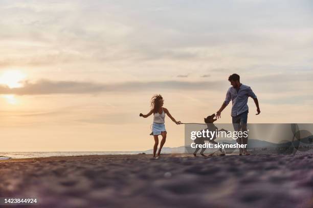 playful couple having fun with their dog on the beach at sunset. - white doberman pinscher stock pictures, royalty-free photos & images