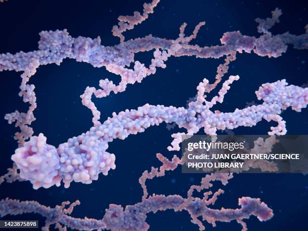 fibrin polymerisation, molecular model - polymer molecule stock illustrations