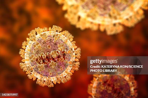 langya viruses, illustration - nipah stock illustrations