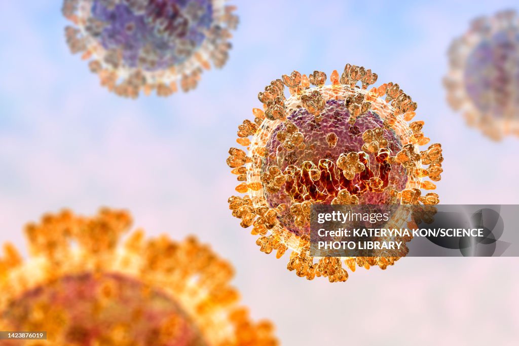 Langya viruses, illustration