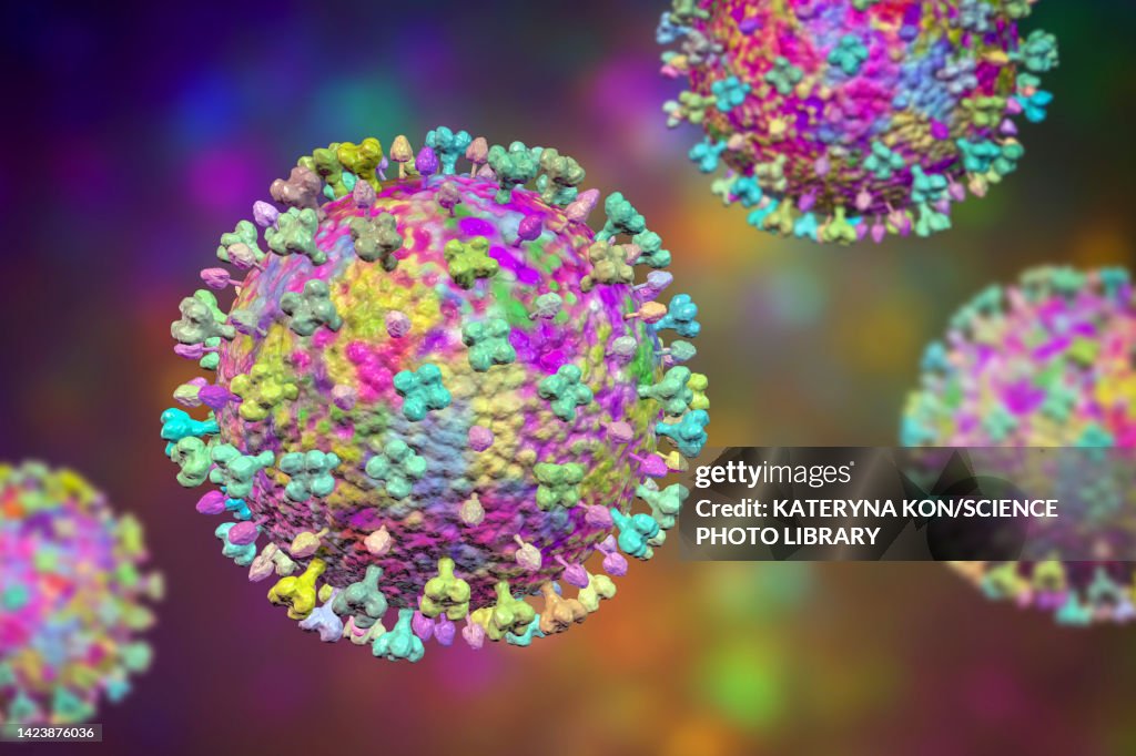 Langya viruses, illustration