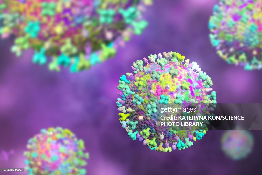 Langya viruses, illustration