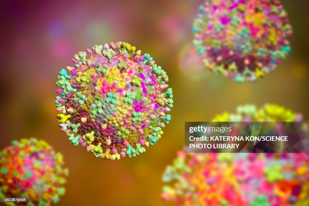 Langya viruses, illustration