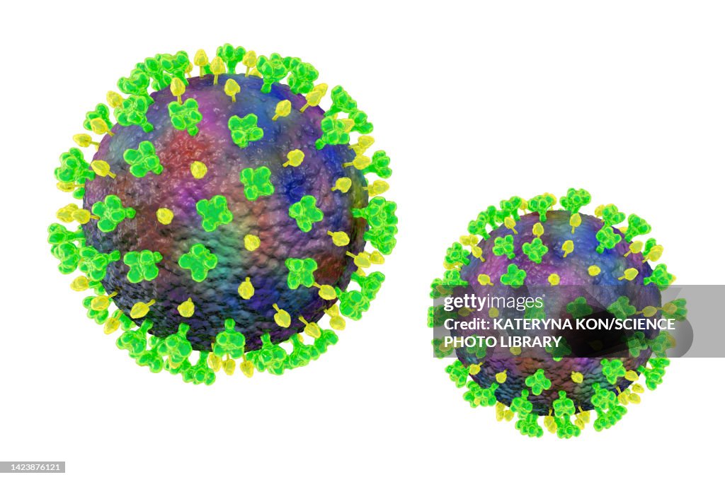 Langya viruses, illustration