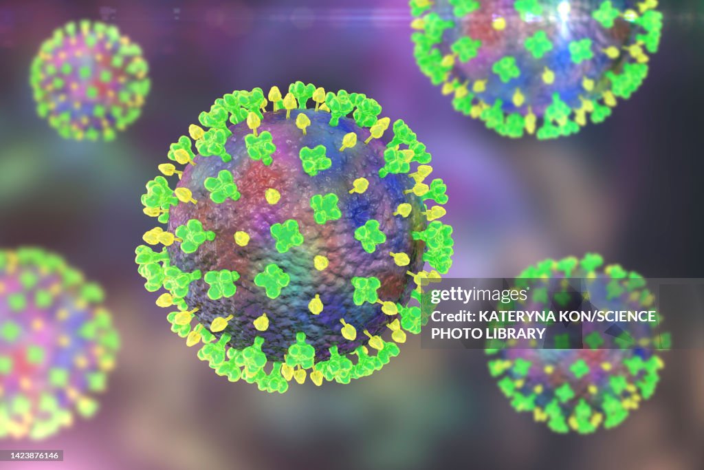 Langya viruses, illustration