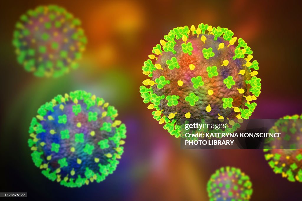 Langya viruses, illustration