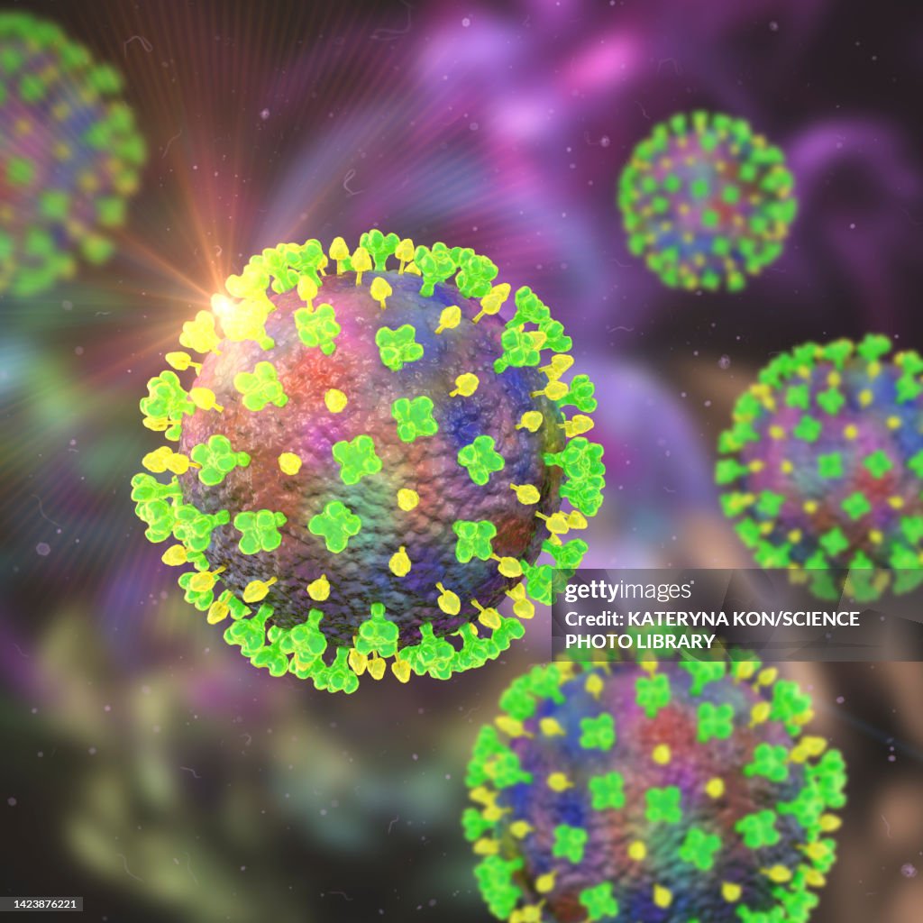 Langya viruses, illustration