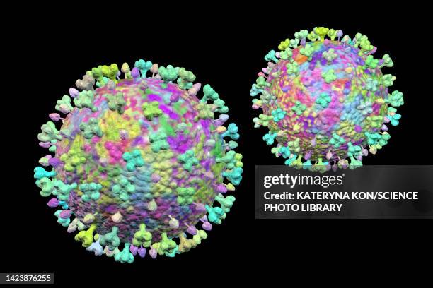 langya viruses, illustration - nipah stock illustrations