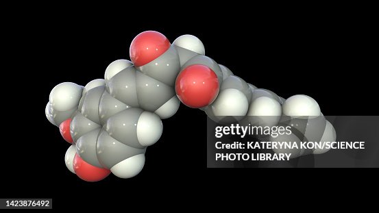 Curcumin molecule, illustration Curcumin molecule, illustration
