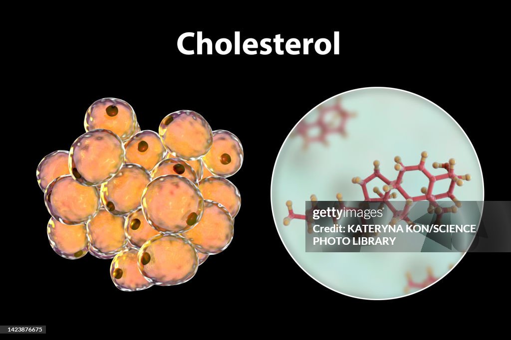 Fat adipose cells and molecule of cholesterol, illustration