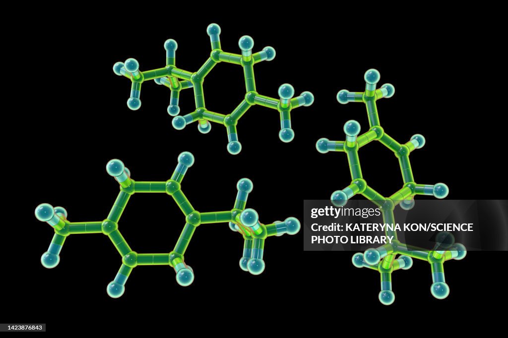 Gamma-terpinene molecule, illustration