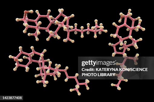 Cholesterol molecule, illustration Cholesterol molecule, illustration