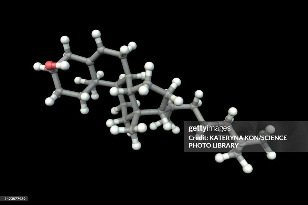 Cholesterol molecule, illustration