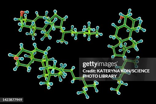 Cholesterol molecule, illustration Cholesterol molecule, illustration