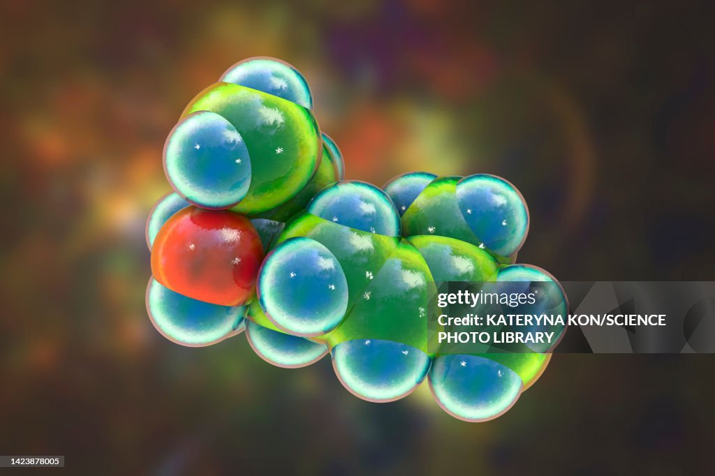 Linalool molecule, illustration