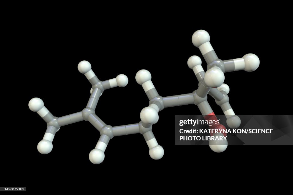 Linalool molecule, illustration