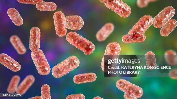 enterobacter bacteria, illustration - urinary tract infection stock illustrations