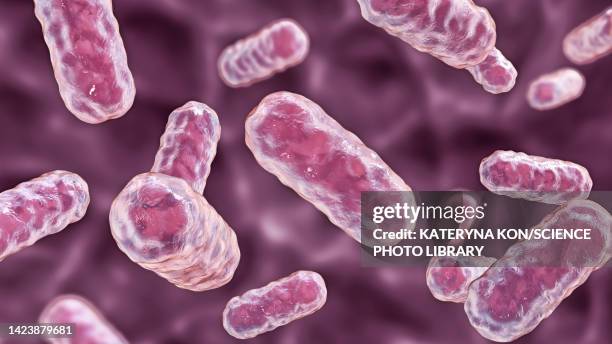 Is Enterobacter A Urease Producing Bacteria Urinary Tract Infection Bacteria Photos and Premium High Res Pictures ...