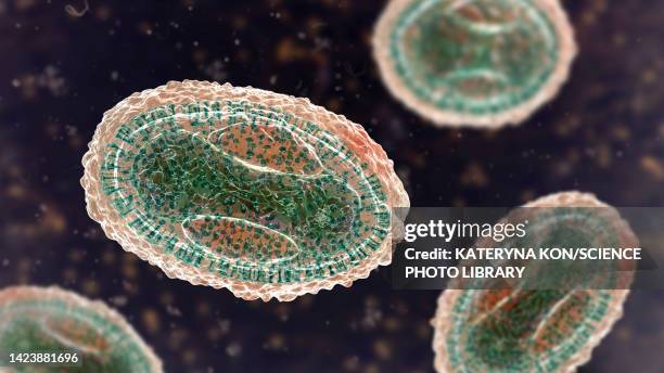 smallpox virus, illustration - smallpox stock illustrations