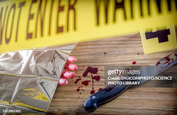 murder scene investigation - killing stock pictures, royalty-free photos & images