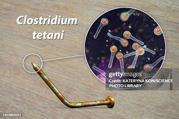 tetanus transmission, conceptual illustration - clostridium tetani stock illustrations