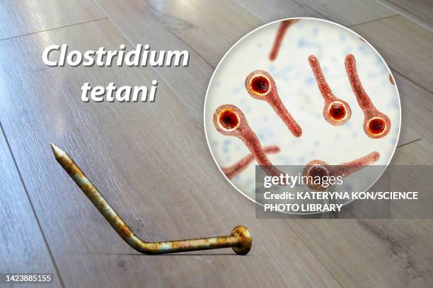 tetanus transmission, conceptual illustration - clostridium tetani stock illustrations