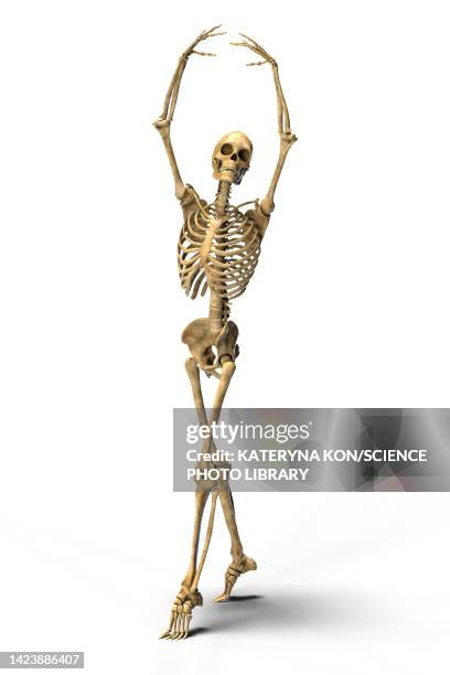 dancing skeleton, illustration - dance routine stock illustrations