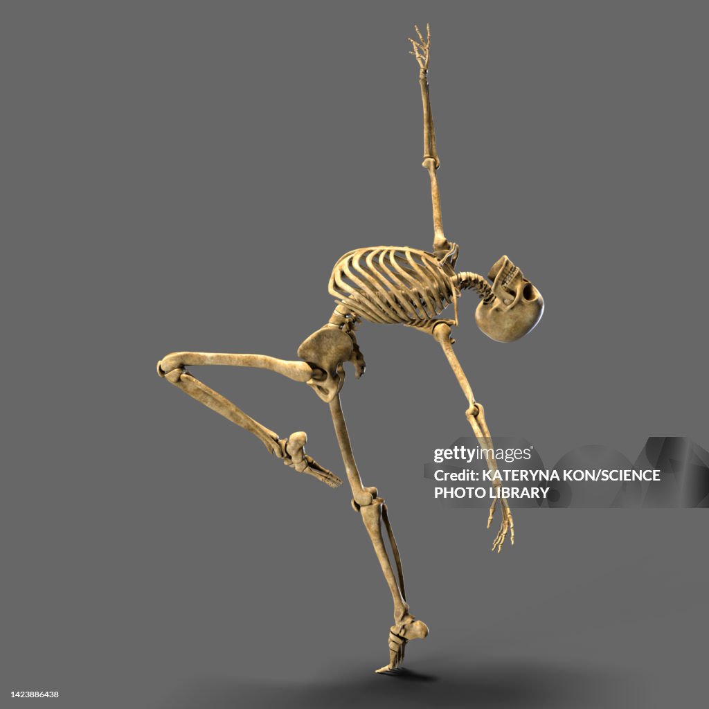 Dsncing Skeleton Dancing Skeleton Illustration High-Res Vector Graphic - Getty Images