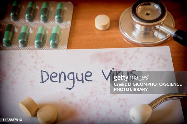 dengue virus treatment, conceptual image - dengue fotografías e imágenes de stock
