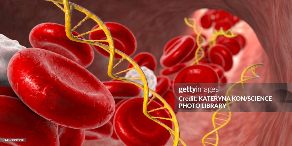 Cell free nucleic acids in human blood, illustration