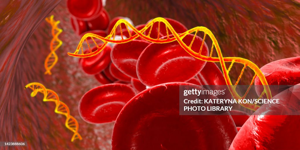 Cell free nucleic acids in human blood, illustration