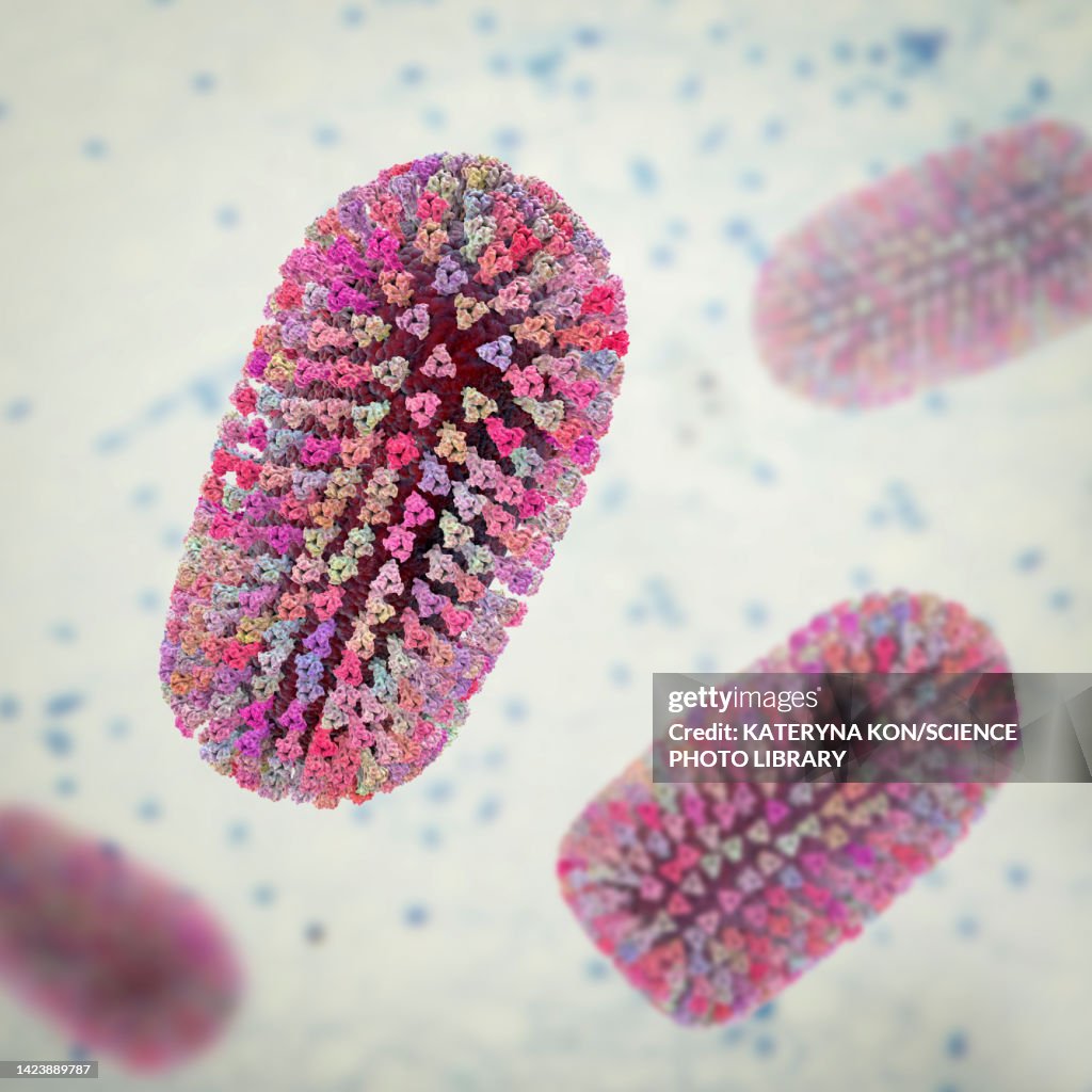 Mokola virus, illustration